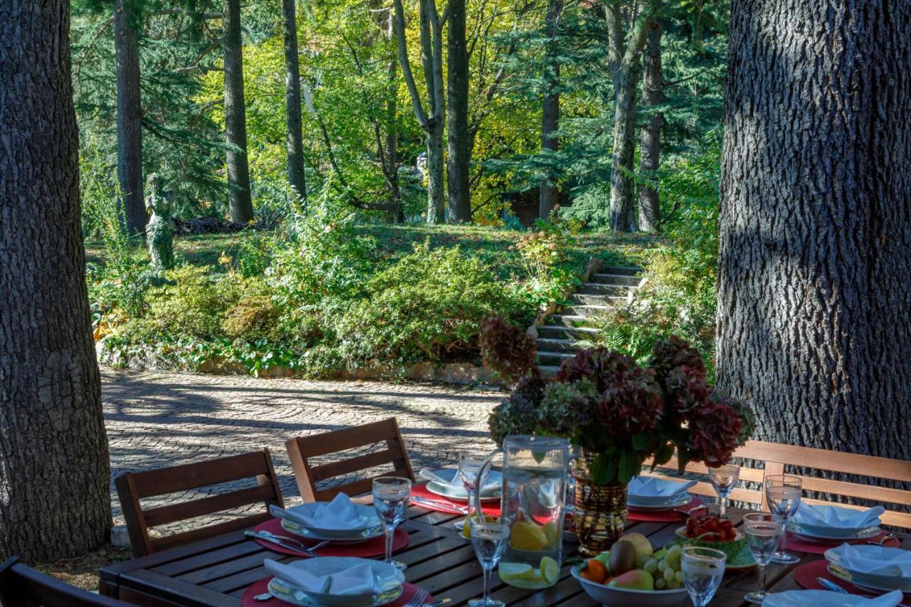 Villa Ponti Bellavista Bellagio Dış mekan fotoğraf